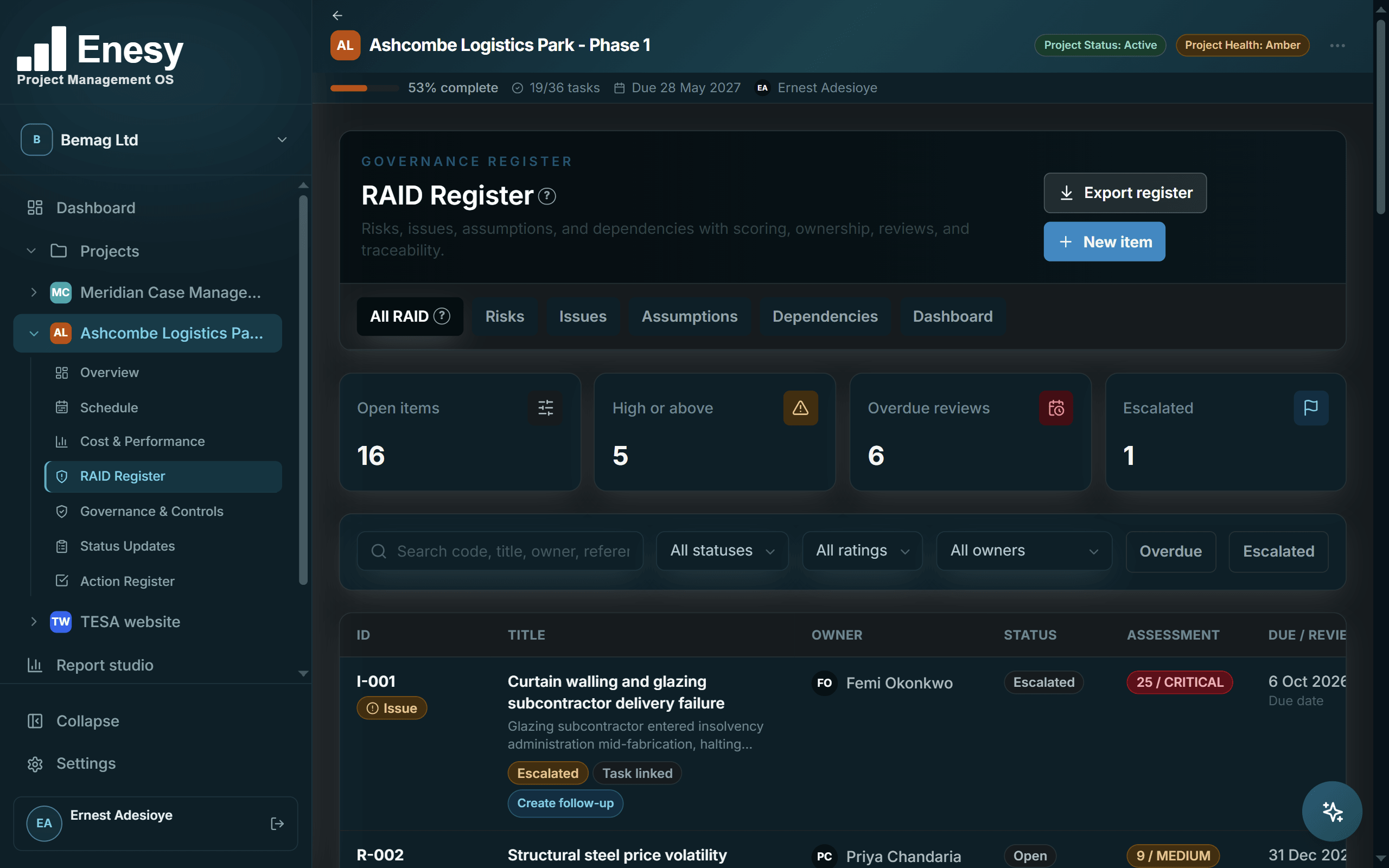Enesy RAID register with scored items, owners, status and review dates